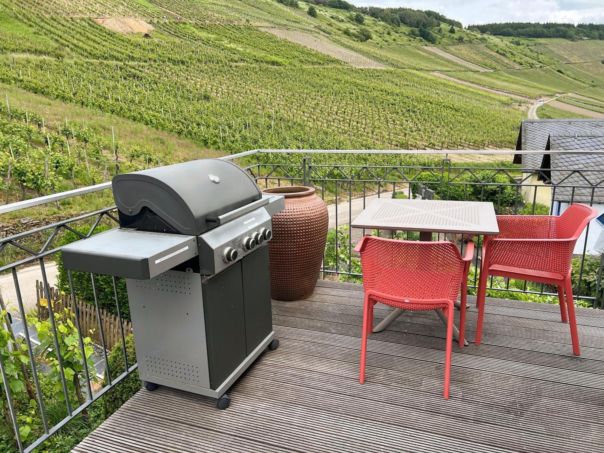 Weingut-Aparthotel Olinger Mehring  Ruang foto